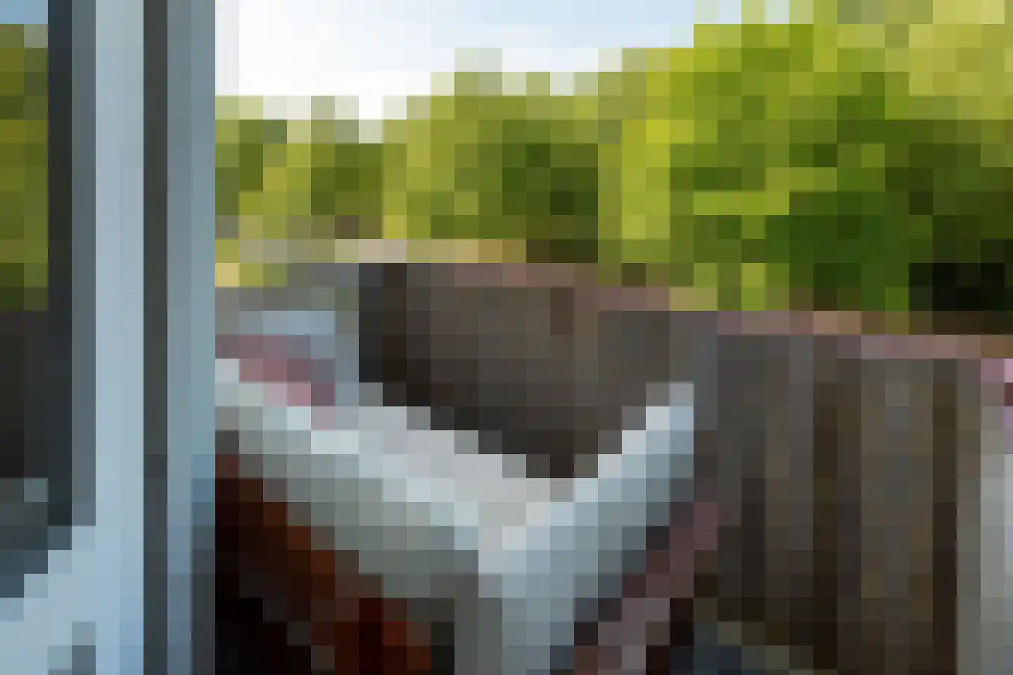 Wolvenlaan 63 Hilversum thumbnail 18