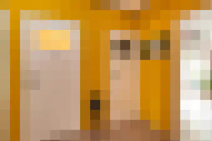 Wolvenlaan 79 Hilversum thumbnail 17