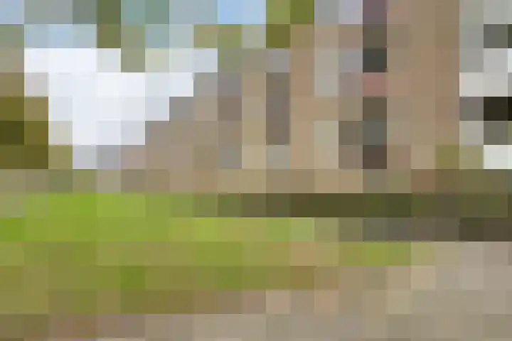 Wolvenlaan 79 Hilversum thumbnail 24