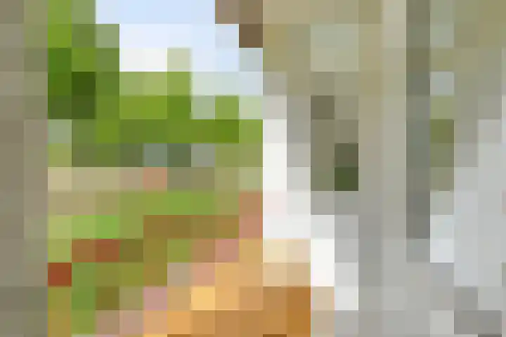 Wolvenlaan 89 Hilversum thumbnail 16