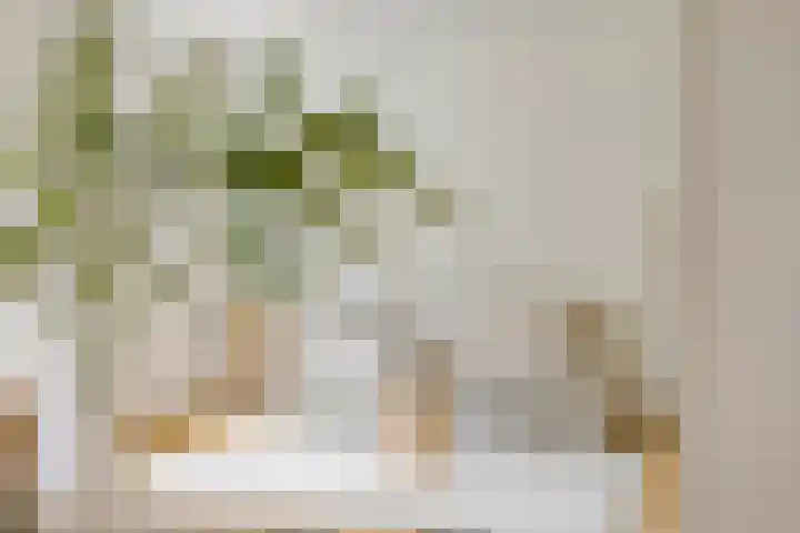 Wolvenlaan 89 Hilversum thumbnail 4