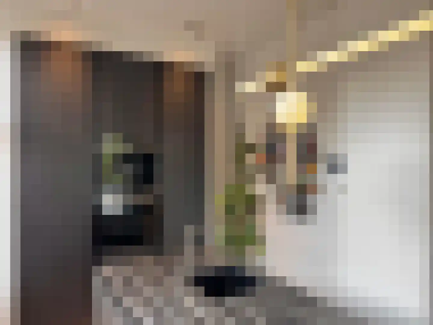 Wolvenplein 10 BS Utrecht thumbnail 11