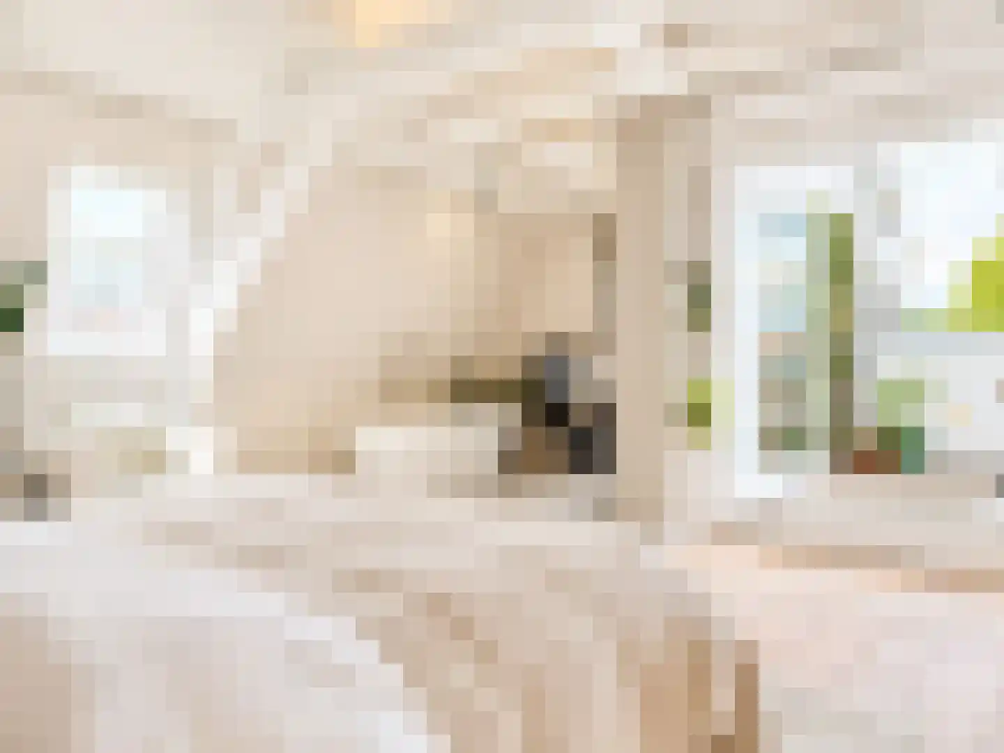 Wolvenplein 10 BS Utrecht thumbnail 29