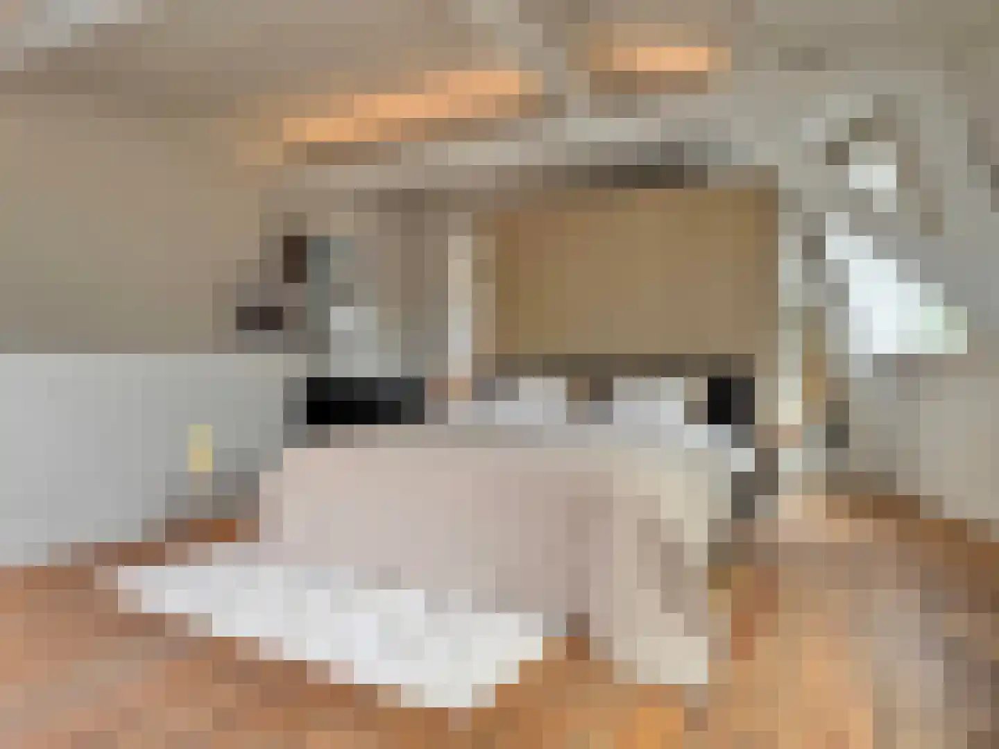 Wolvenplein 10 BS Utrecht thumbnail 32