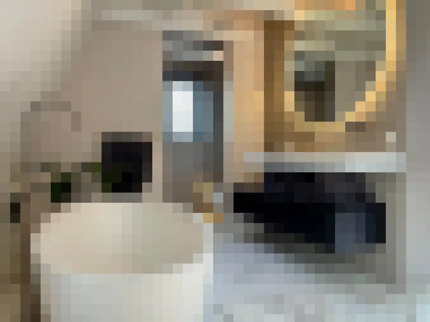 Wolvenplein 10 Utrecht thumbnail 16
