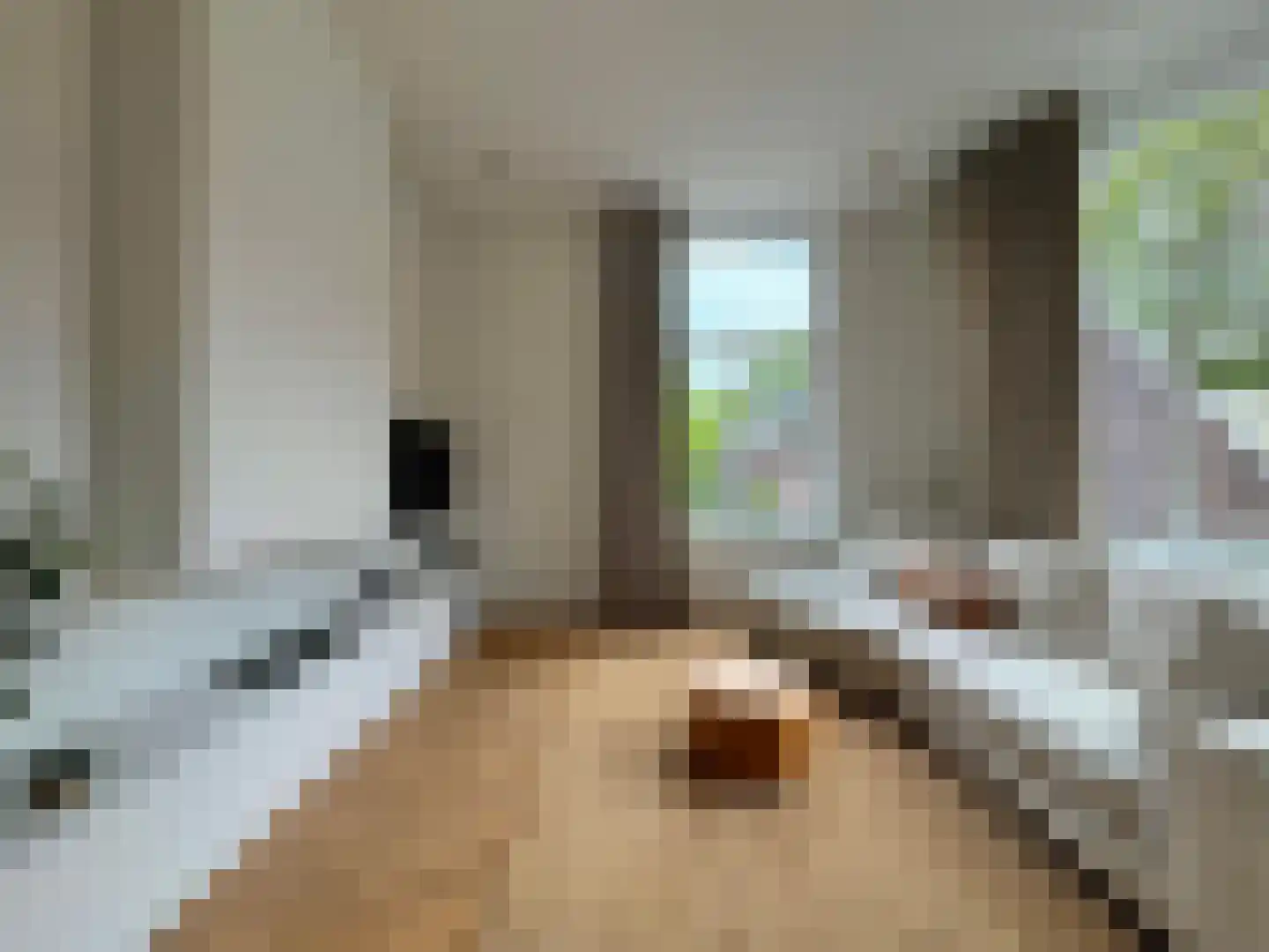 Wolvenplein 10 Utrecht thumbnail 39