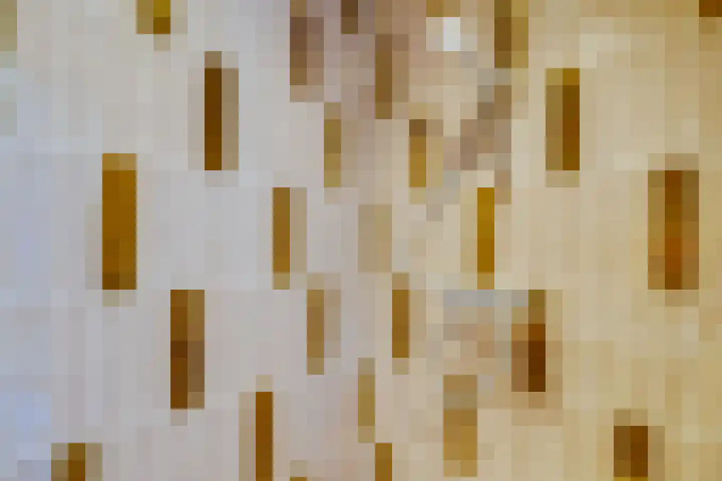 Wolvenplein 18 Utrecht thumbnail 16