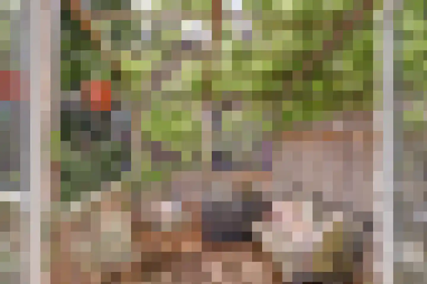 Wolvenplein 18 Utrecht thumbnail 20