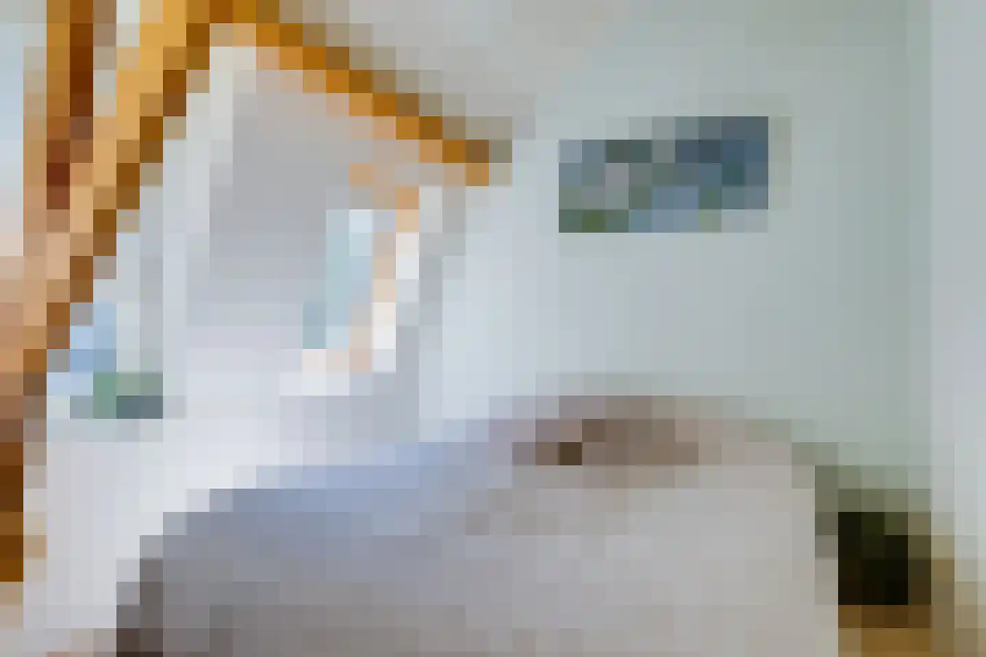 Wolvenplein 18 Utrecht thumbnail 28
