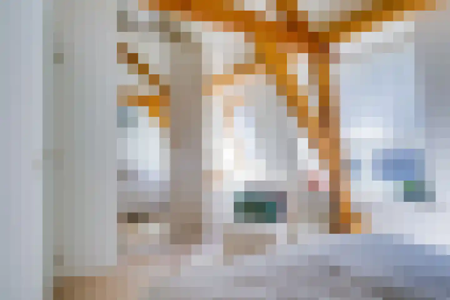 Wolvenplein 18 Utrecht thumbnail 29