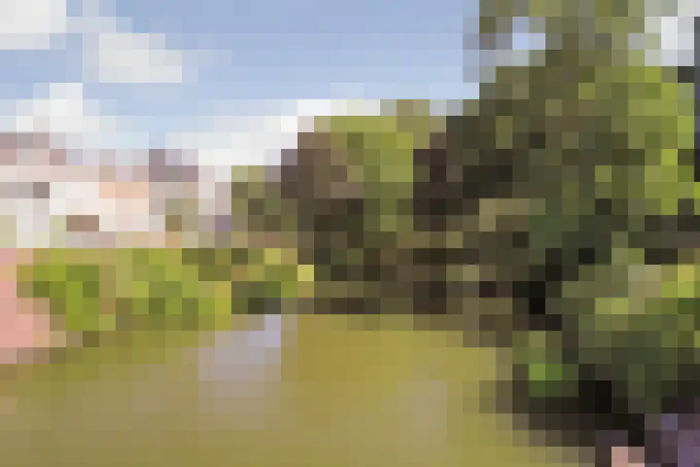 Wolvenplein 18 Utrecht thumbnail 35