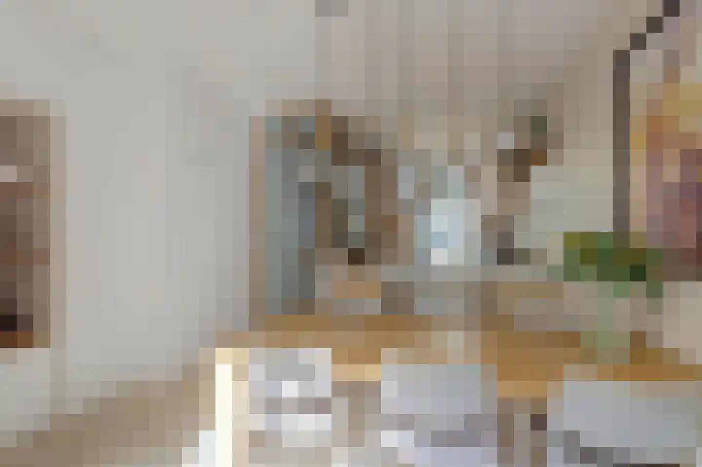 Wolvenplein 18 Utrecht thumbnail 7