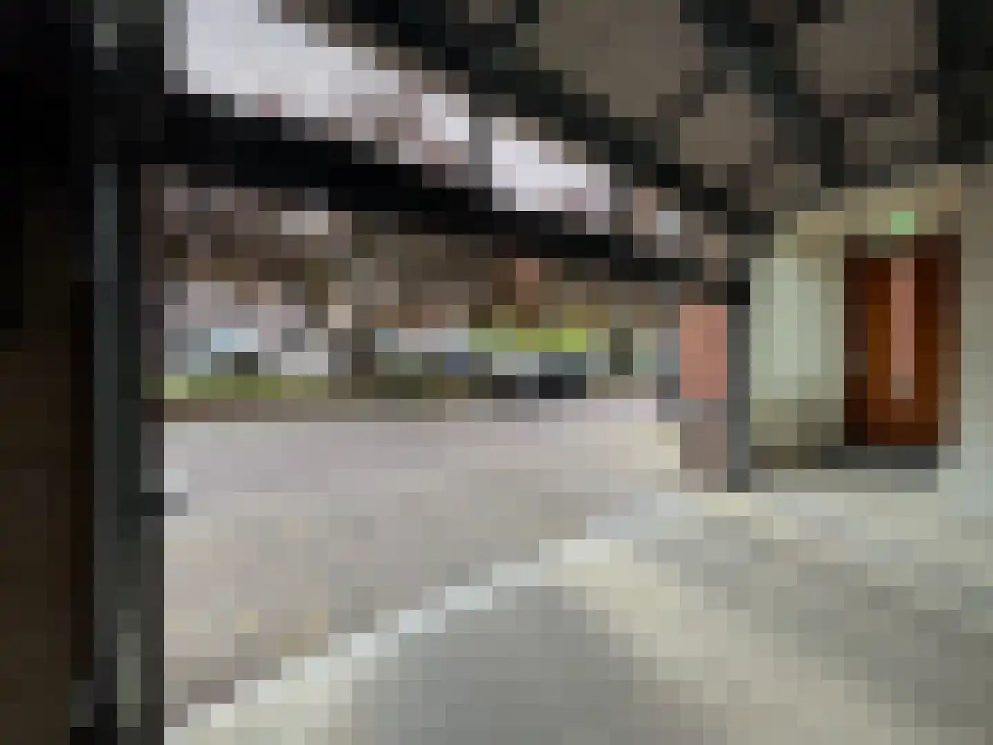 Wolvenplein 3 Utrecht thumbnail 6