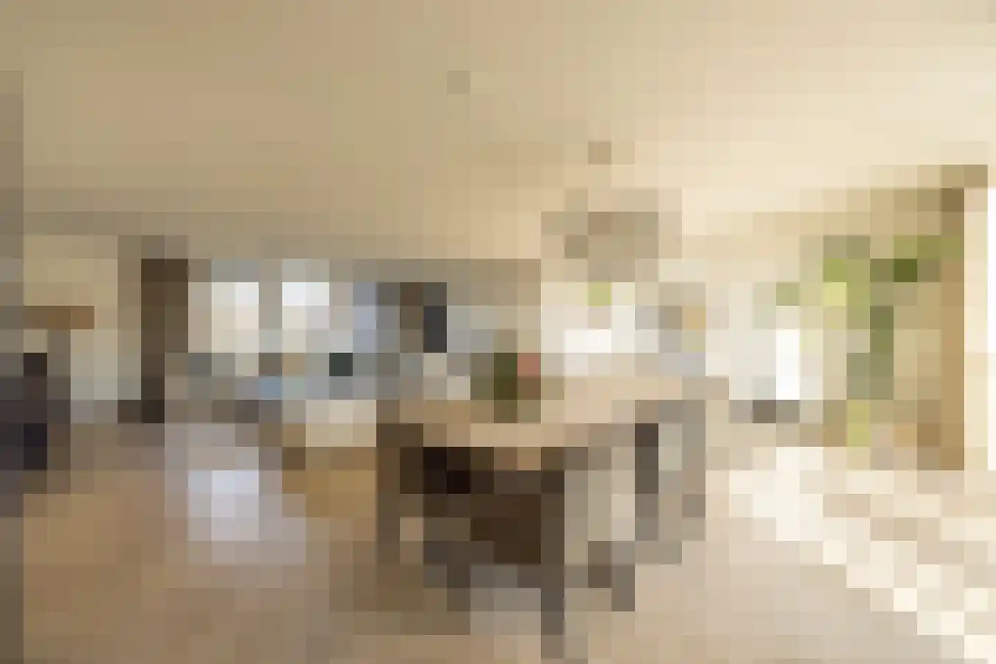 Wolvenplein 6 B Utrecht thumbnail 13