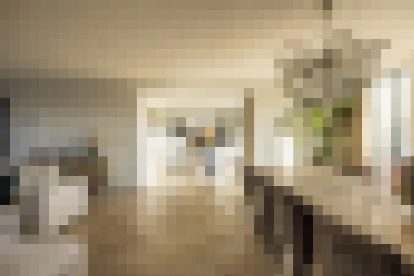Wolvenplein 6 B Utrecht thumbnail 15