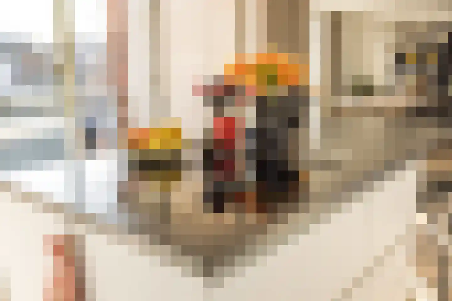 Wolvenplein 6 B Utrecht thumbnail 18