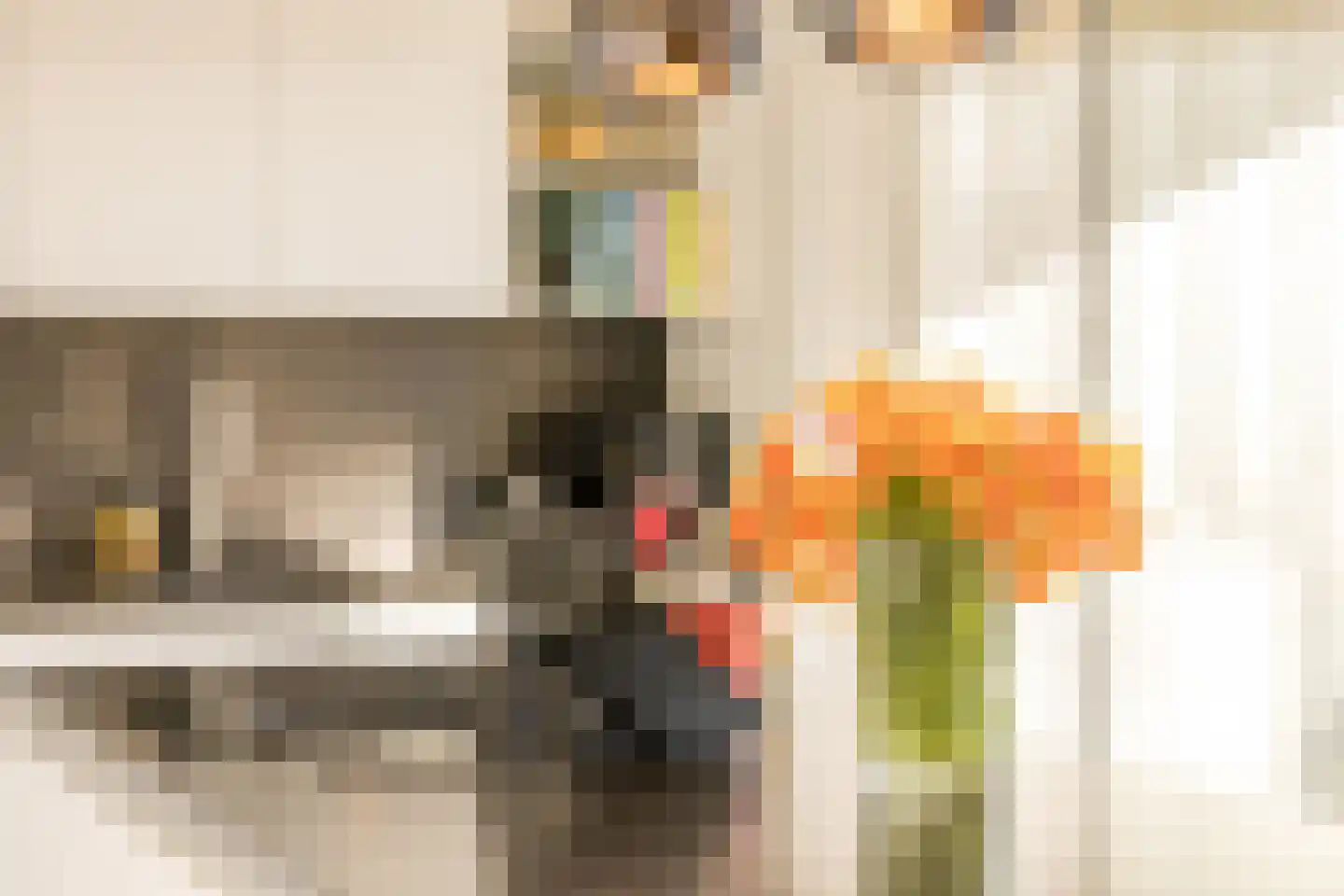 Wolvenplein 6 B Utrecht thumbnail 21