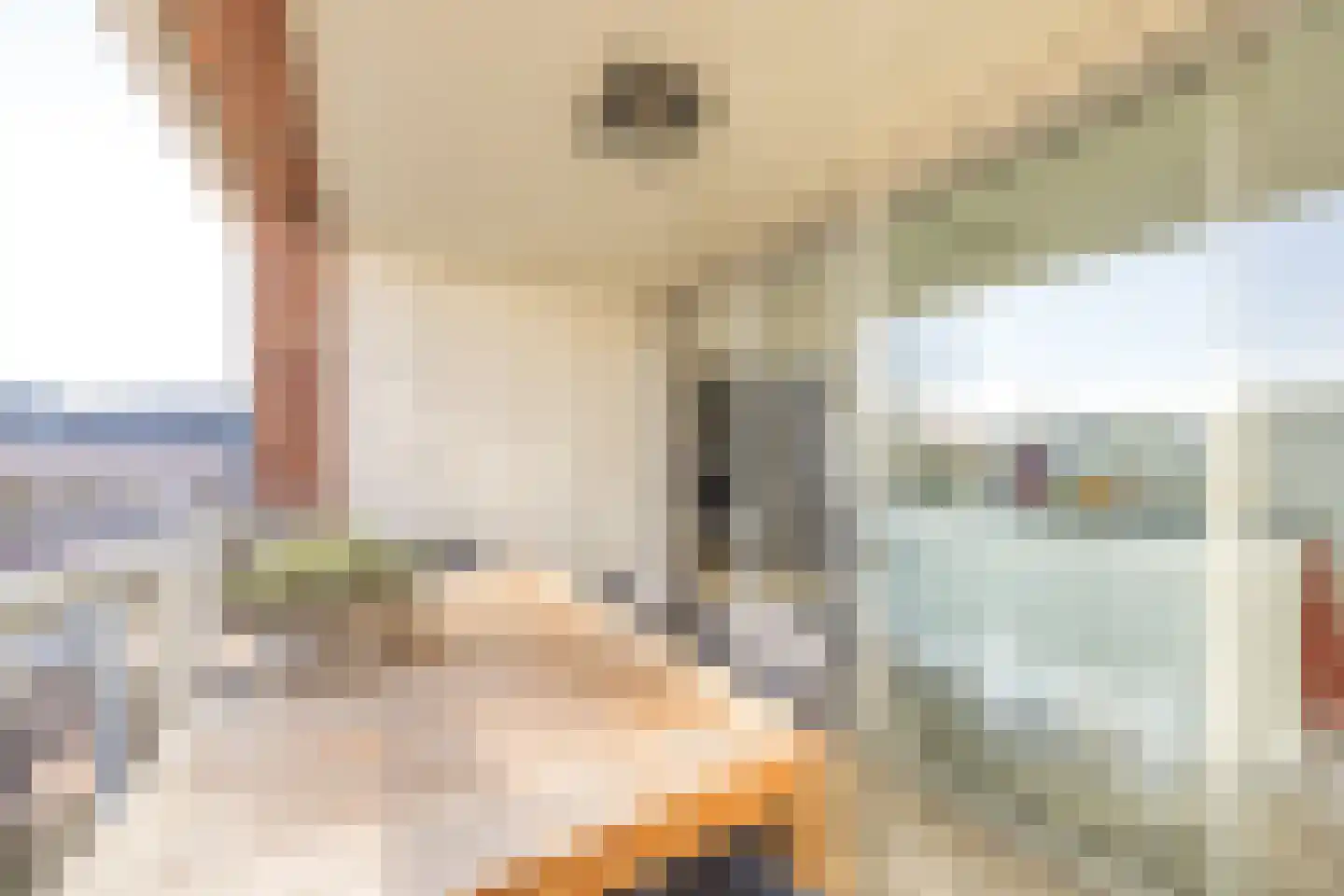 Wolvenplein 6 B Utrecht thumbnail 23