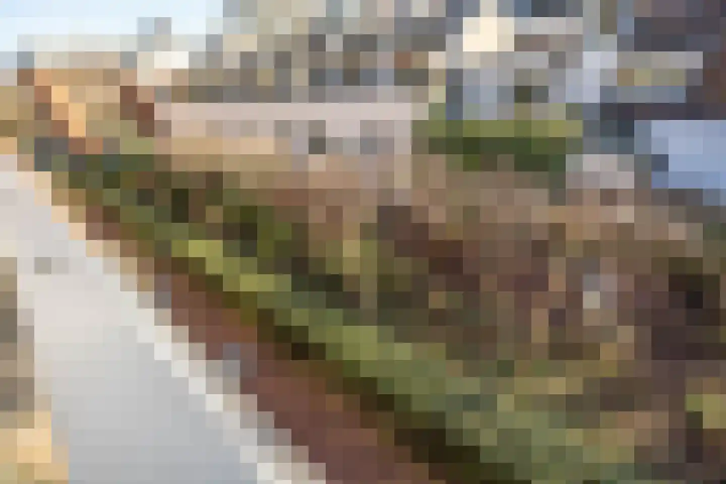 Wolvenplein 6 B Utrecht thumbnail 25