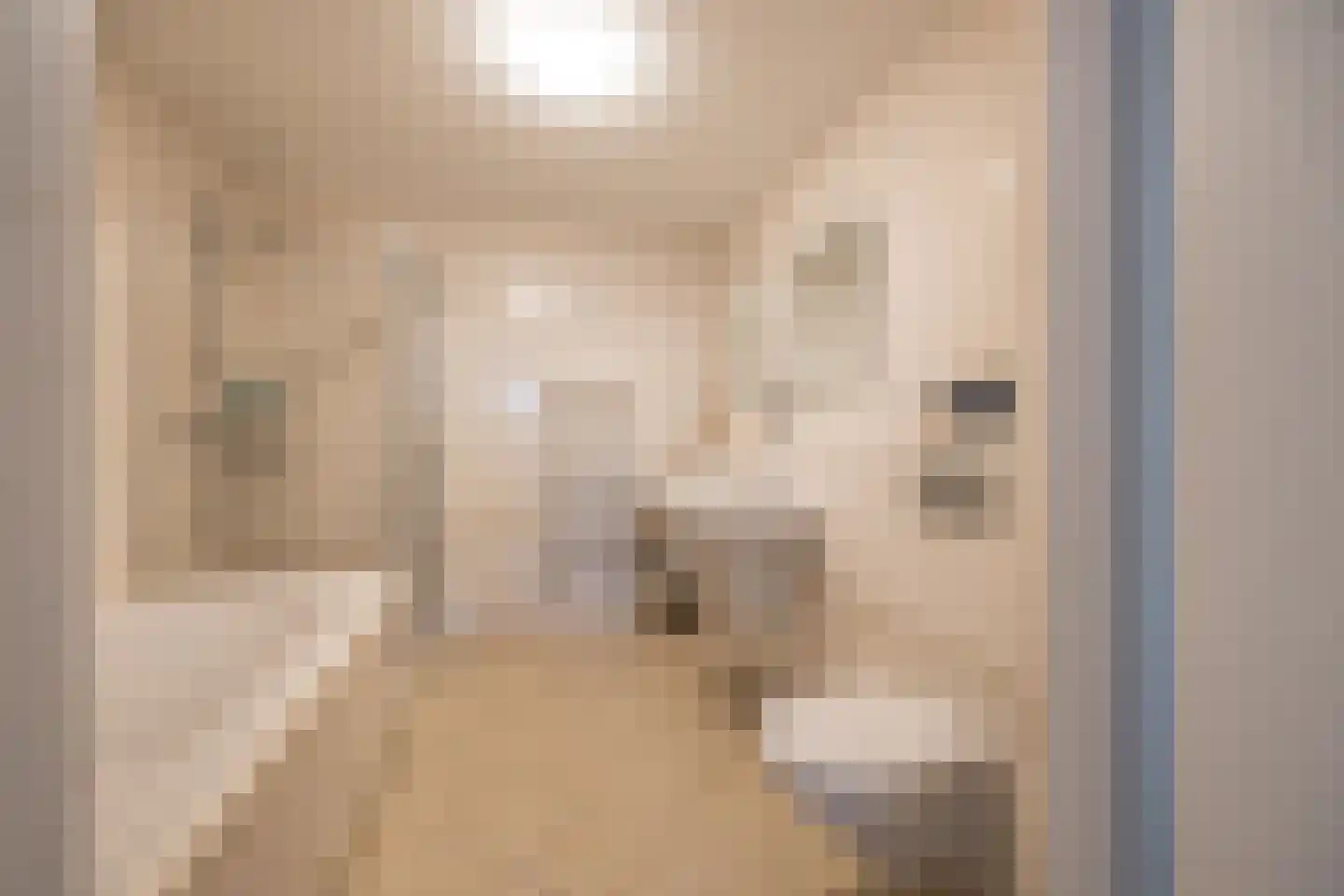 Wolvenplein 6 B Utrecht thumbnail 29