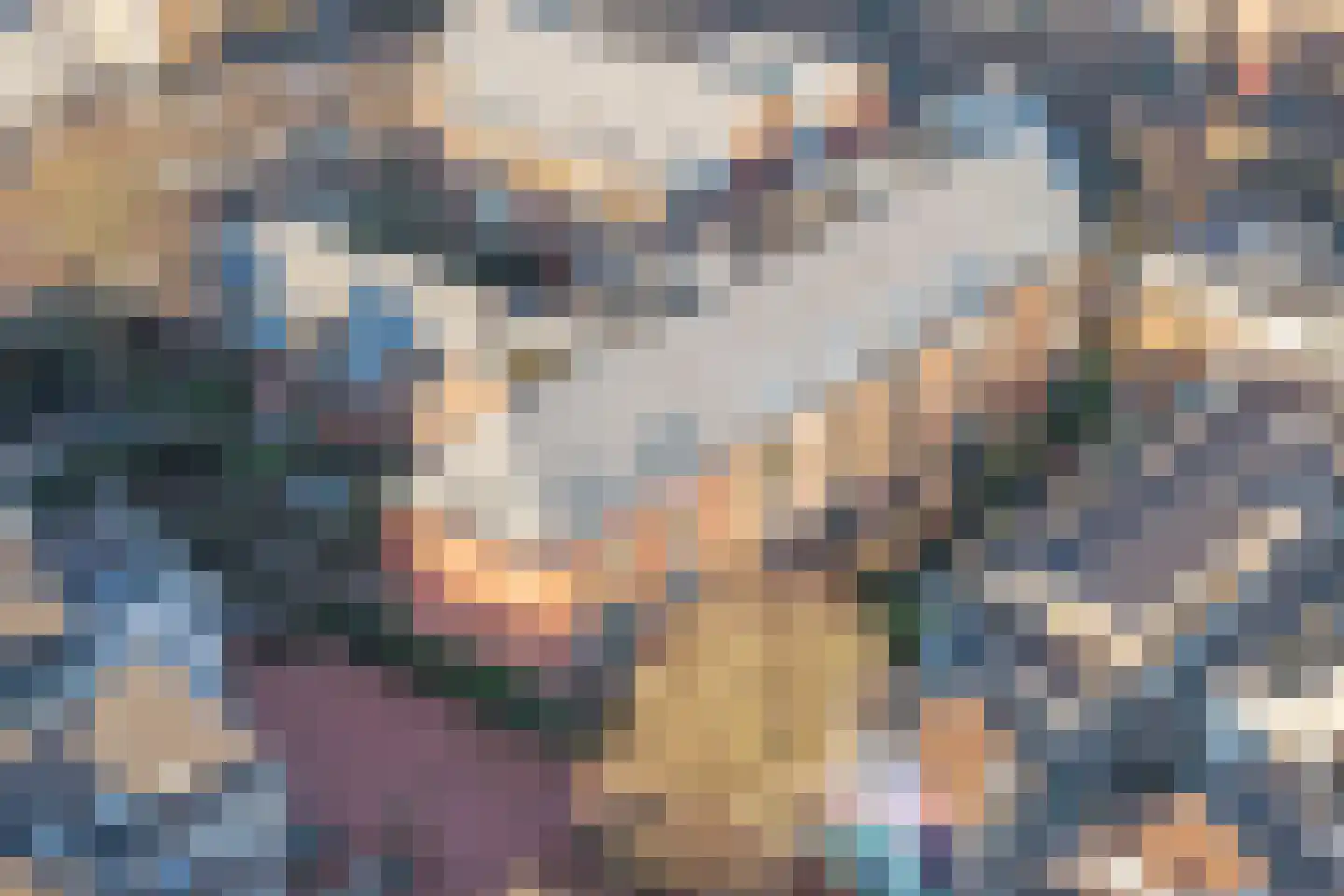 Wolvenplein 6 B Utrecht thumbnail 46