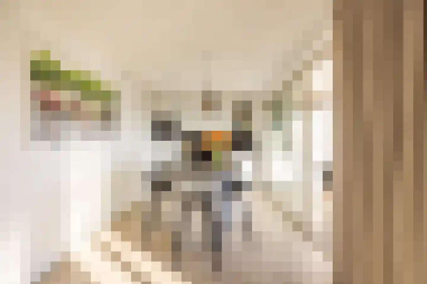 Wolvenplein 6 B Utrecht thumbnail 5