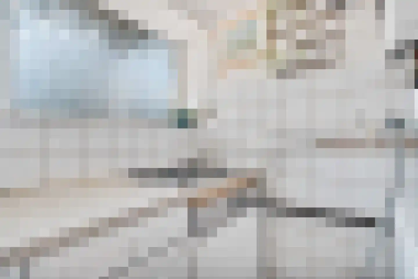 Wolvenrade 103 Den Haag thumbnail 14