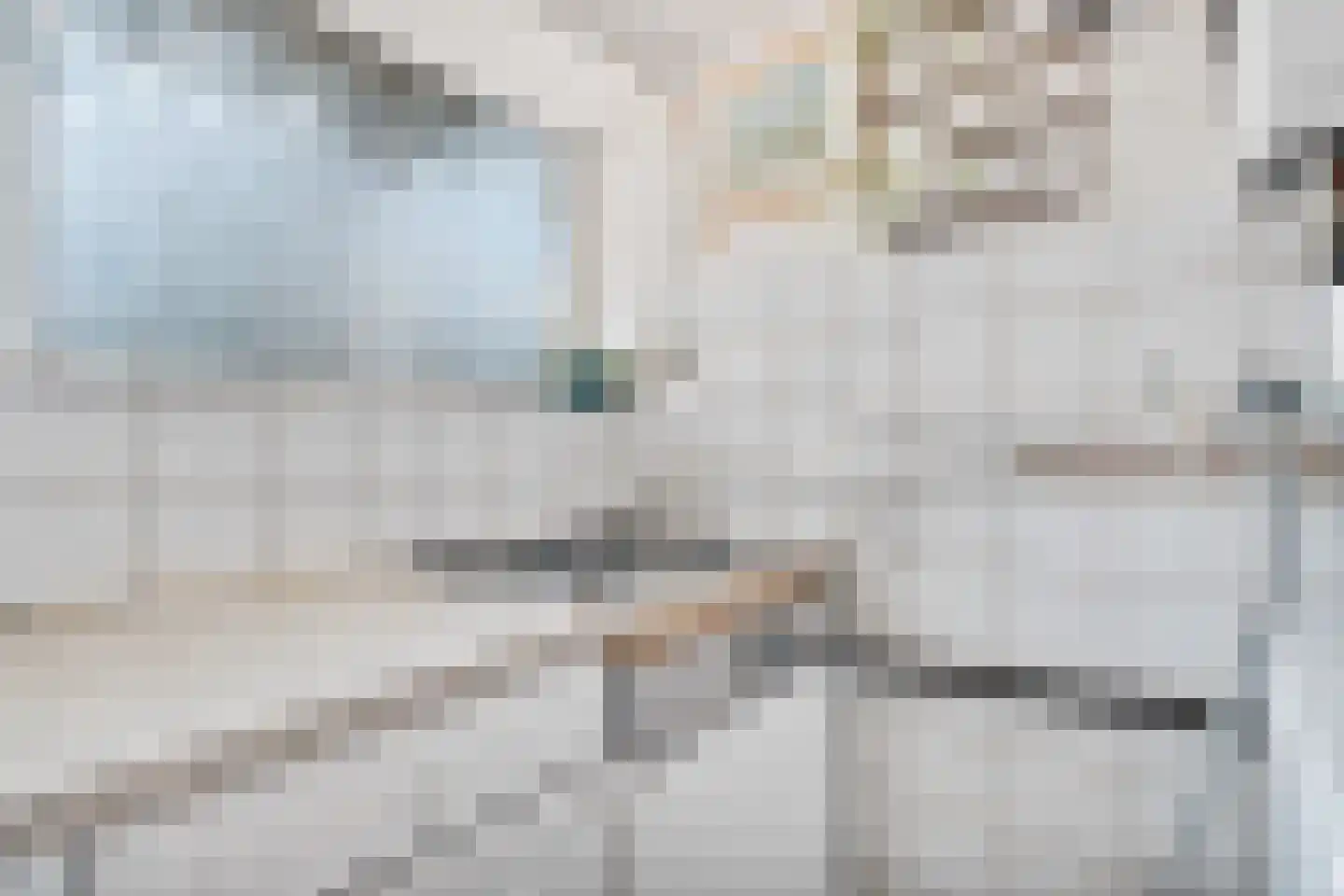 Wolvenrade 103 Den Haag thumbnail 15