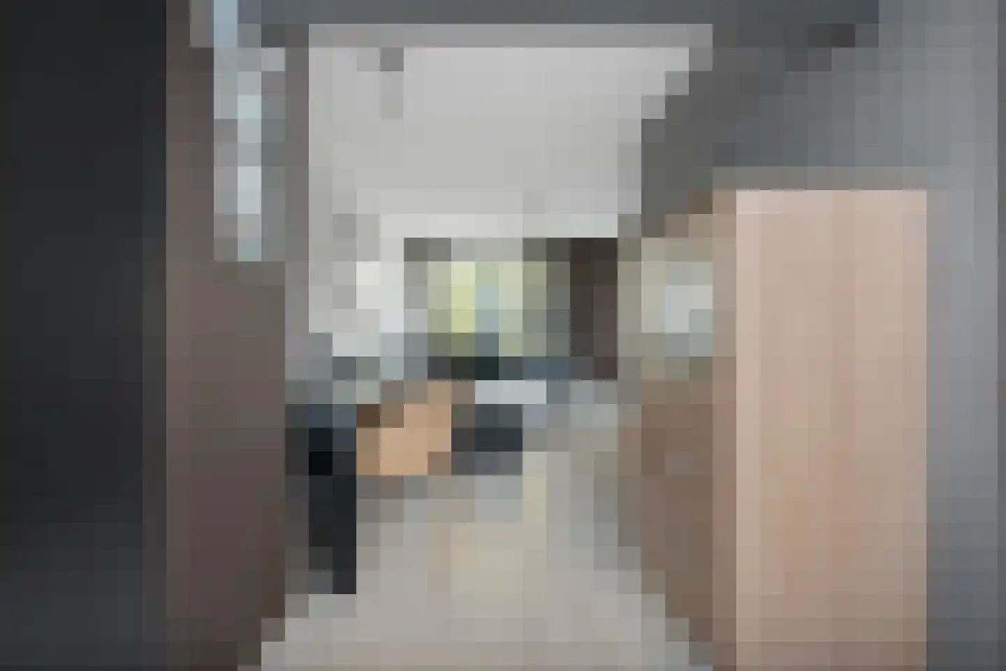 Wolvenrade 209 Den Haag thumbnail 12