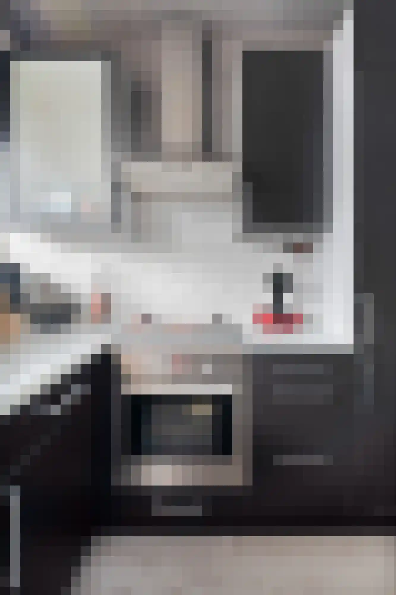 Wolvenrade 209 Den Haag thumbnail 16