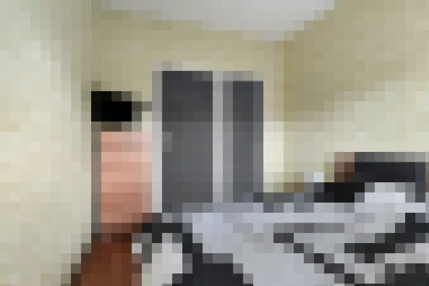 Wolvenrade 209 Den Haag thumbnail 24