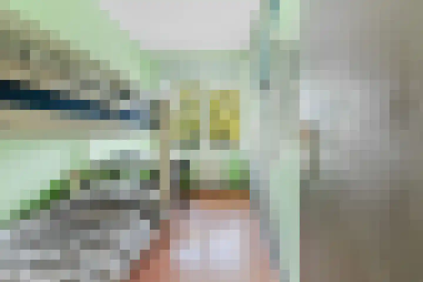Wolvenrade 209 Den Haag thumbnail 25