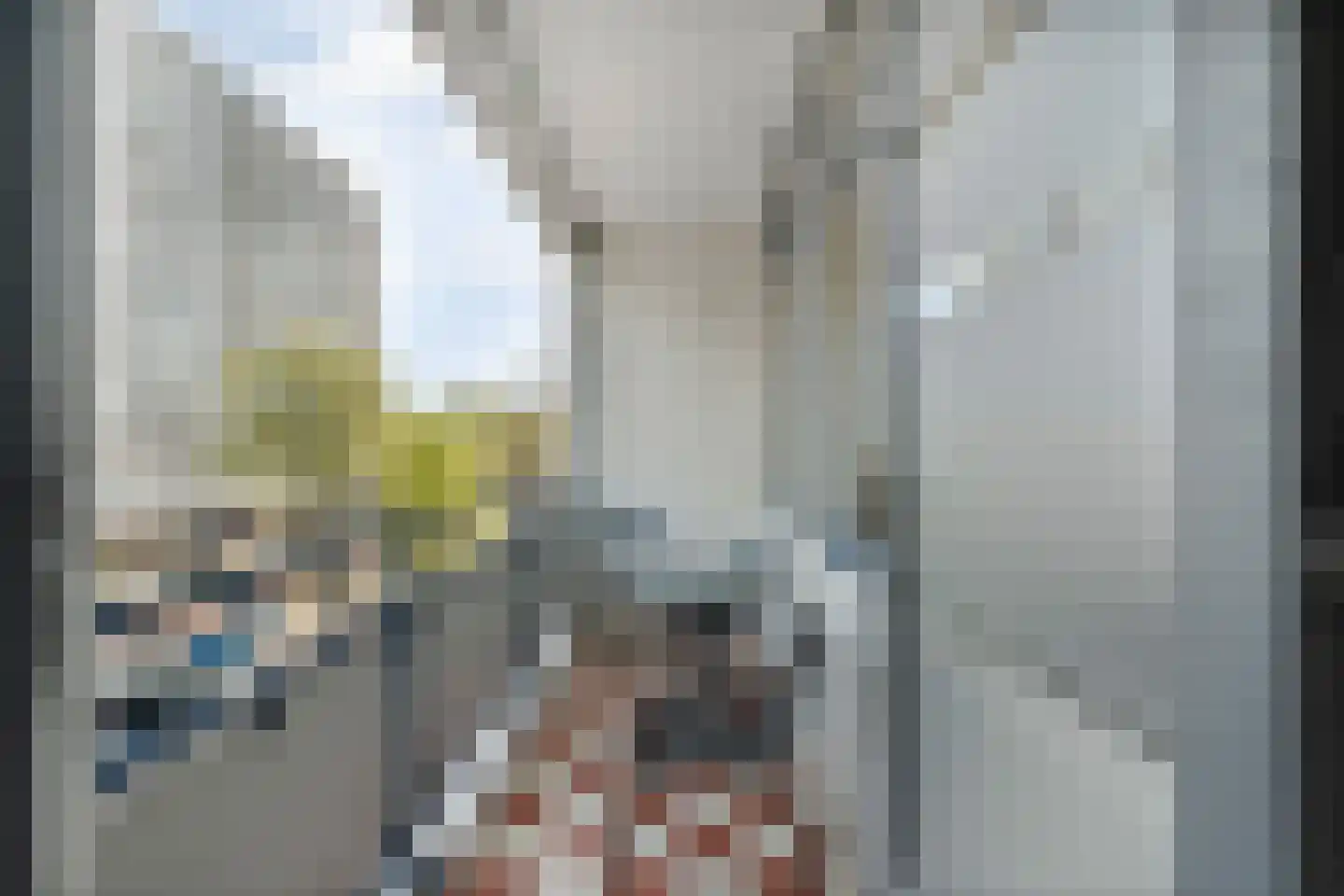 Wolvenrade 209 Den Haag thumbnail 30