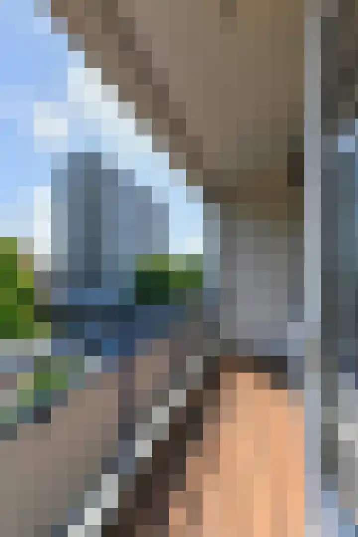 Wolvenrade 225 Den Haag thumbnail 10