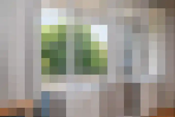 Wolvenrade 225 Den Haag thumbnail 19
