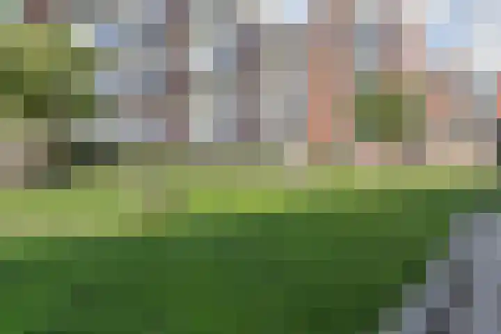 Wolvenrade 225 Den Haag thumbnail 25