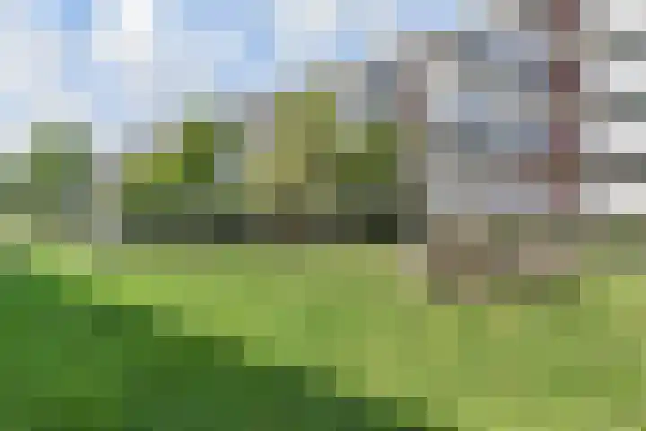 Wolvenrade 225 Den Haag thumbnail 26