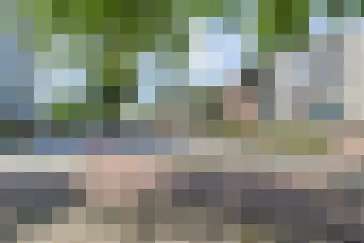 Wolvenrade 225 Den Haag thumbnail 31