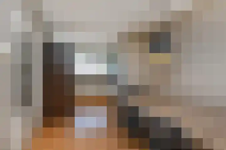 Wolvenrade 225 Den Haag thumbnail 6