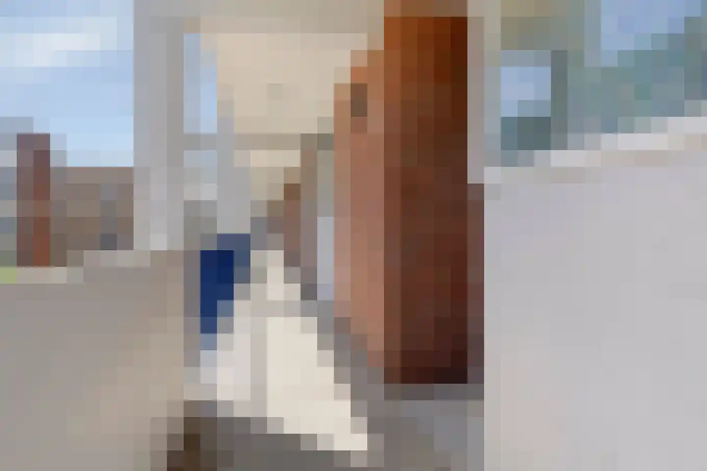 Wolvenrade 59 Den Haag thumbnail 23