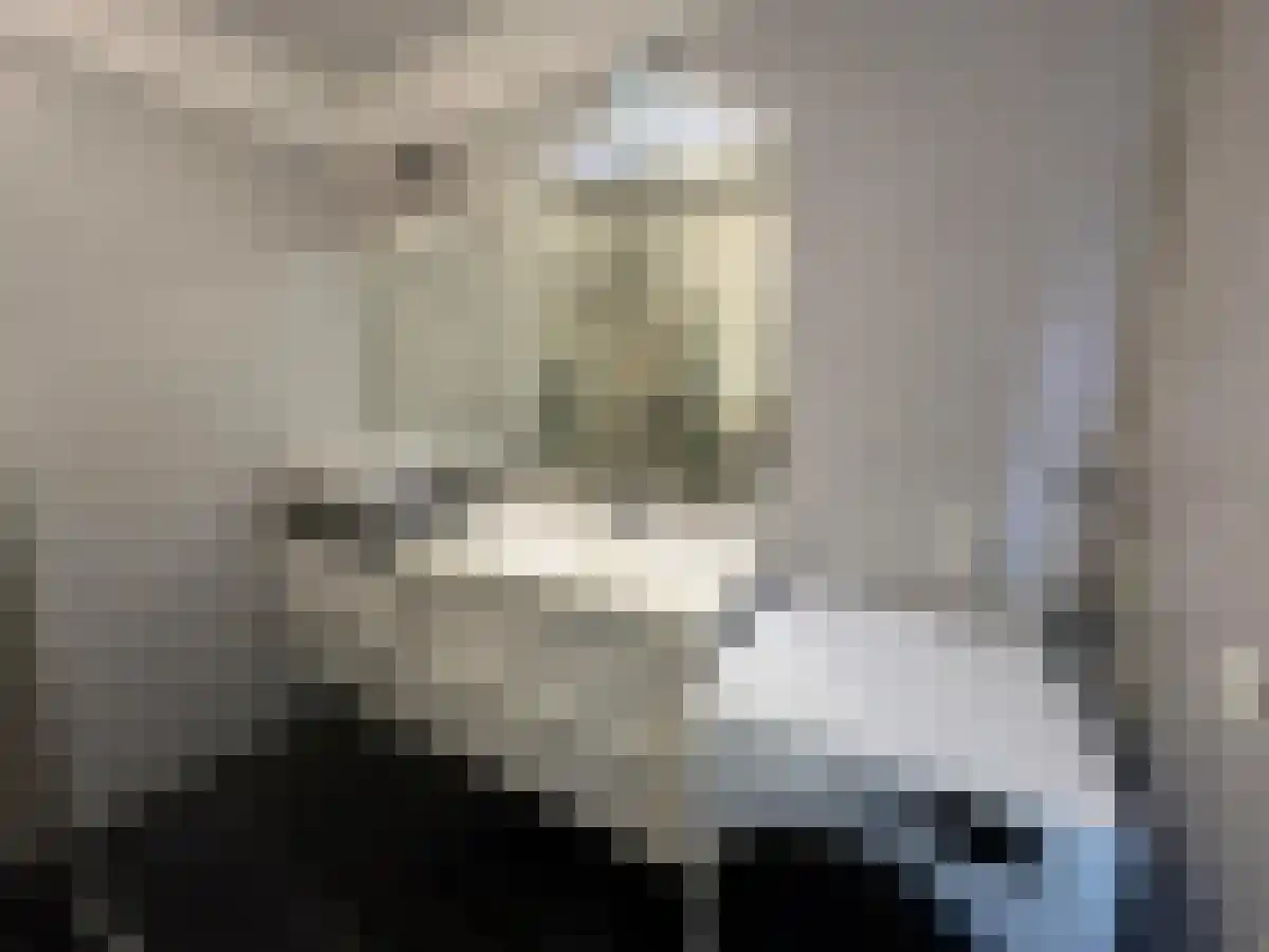 Wolvenrade 70 Den Haag thumbnail 6
