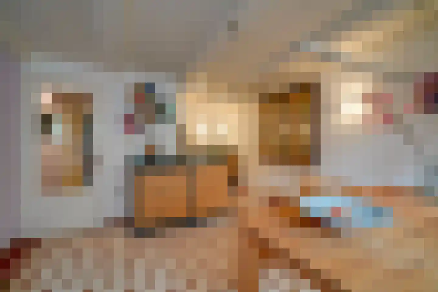 Wolvenstraat 11 Utrecht thumbnail 18