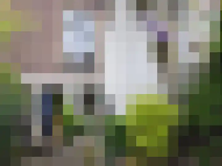 Wolvenstraat 19 Utrecht thumbnail 12