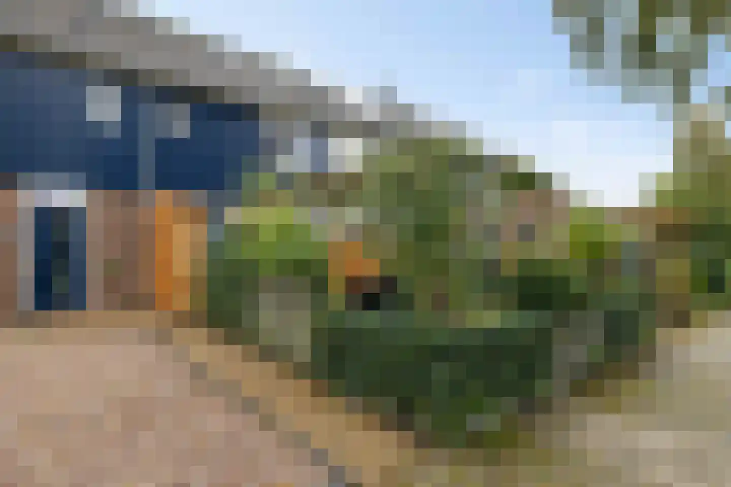 Wolvenveen 149 Assen thumbnail 10