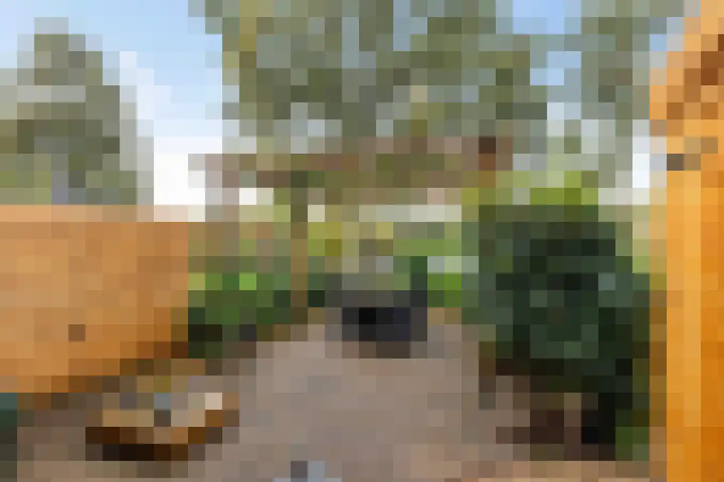 Wolvenveen 149 Assen thumbnail 11