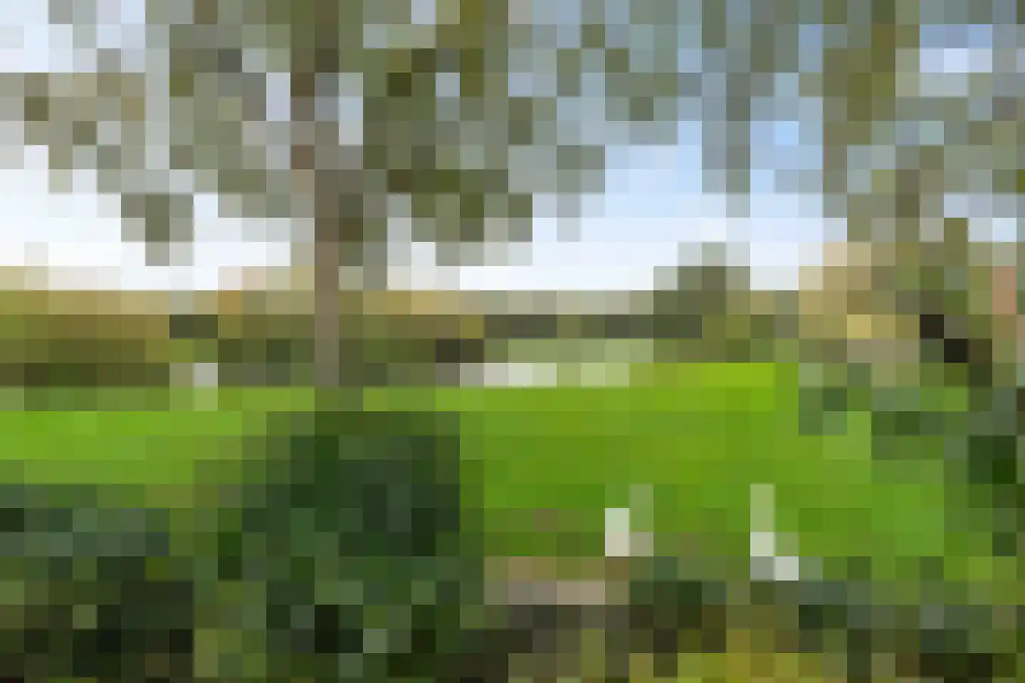 Wolvenveen 149 Assen thumbnail 13