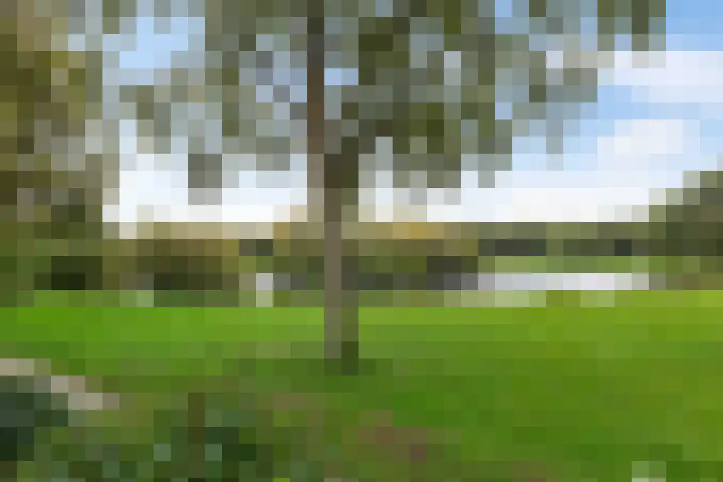 Wolvenveen 149 Assen thumbnail 14