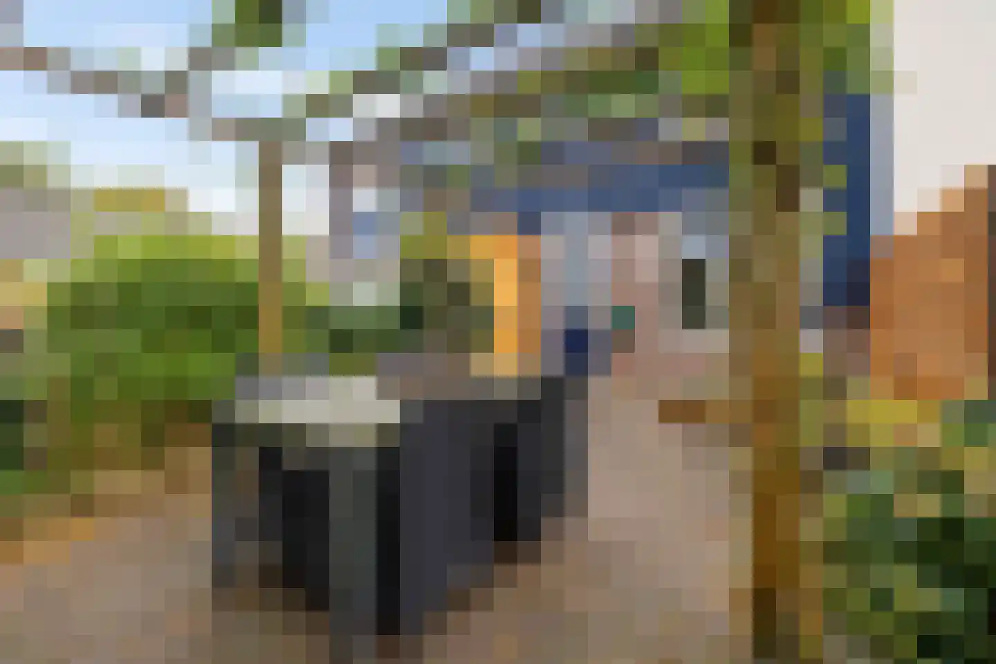 Wolvenveen 149 Assen thumbnail 15