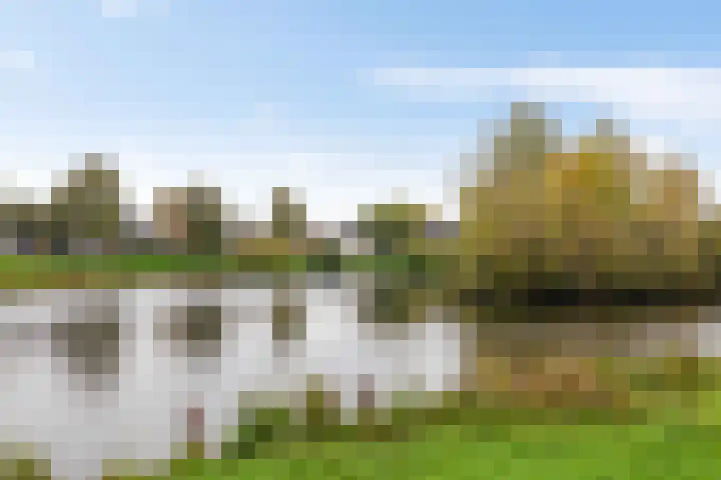 Wolvenveen 149 Assen thumbnail 7