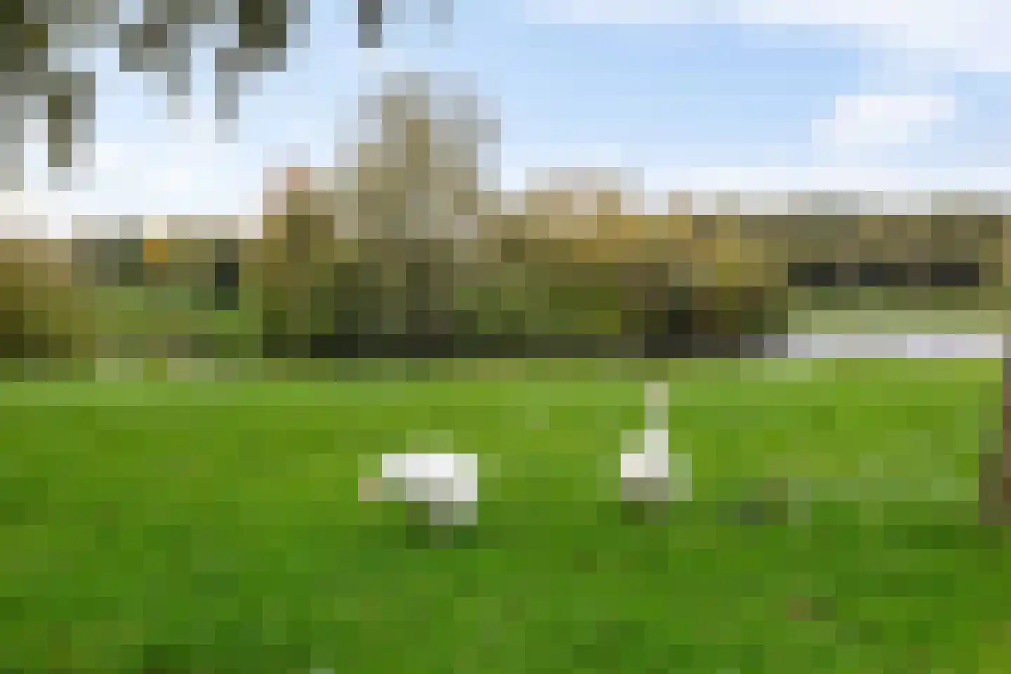 Wolvenveen 149 Assen thumbnail 8
